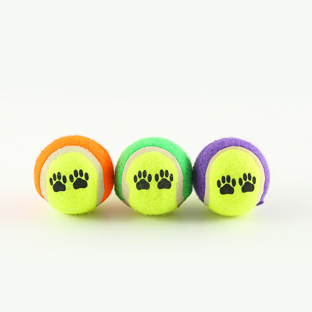 Outdoor Dog Training Fetch Toy