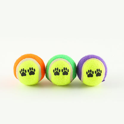 Outdoor Dog Training Fetch Toy