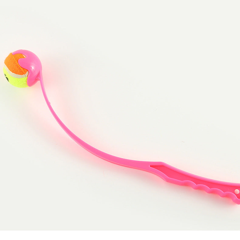 Outdoor Dog Training Fetch Toy