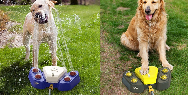 Paw-Activated Dog Water Station