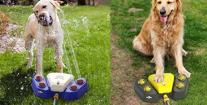 Paw-Activated Dog Water Station