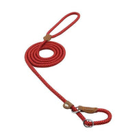Nylon Dog Collar and Lead Set – Durable Double-Stitched Puppy Collar & Leash