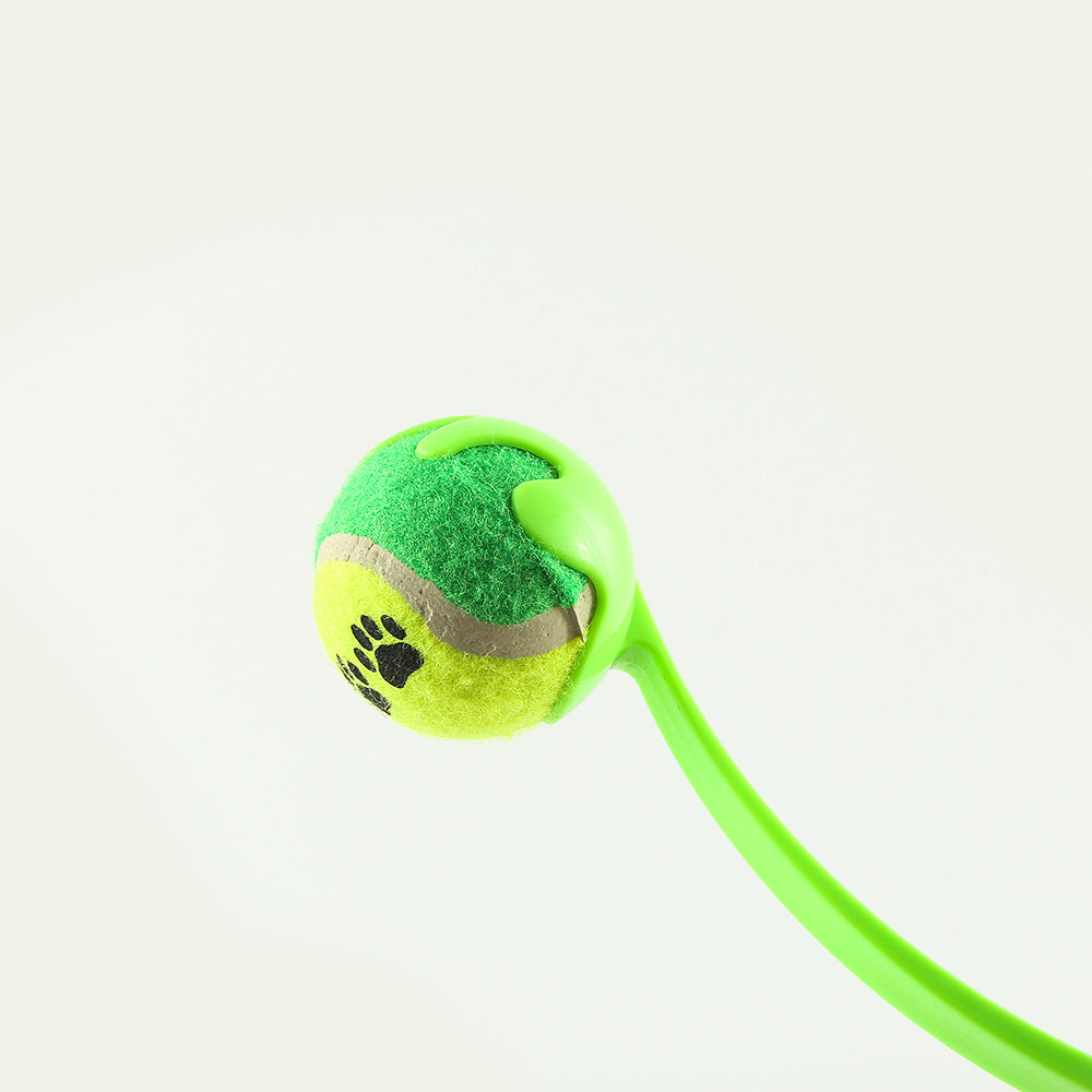 Outdoor Dog Training Fetch Toy